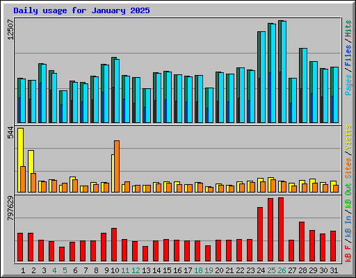 Daily usage for January 2025