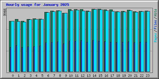 Hourly usage for January 2025