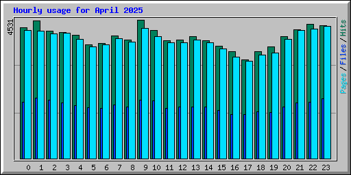 Hourly usage for April 2025