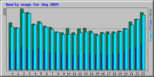 Hourly usage for May 2025