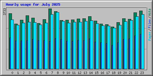 Hourly usage for July 2025
