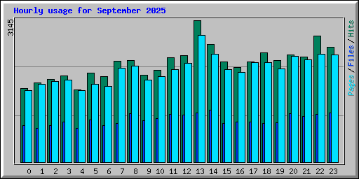 Hourly usage for September 2025