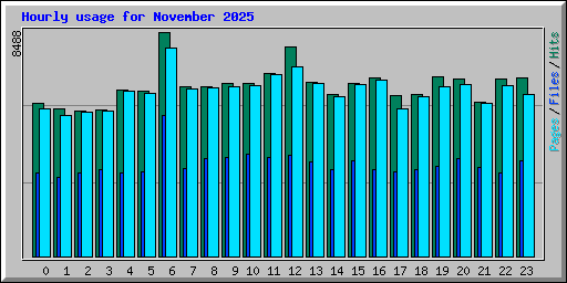 Hourly usage for November 2025