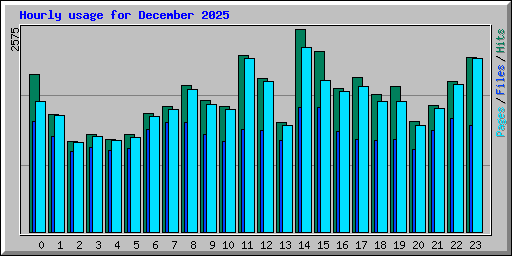 Hourly usage for December 2025