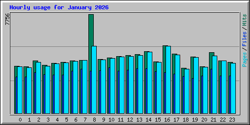 Hourly usage for January 2026