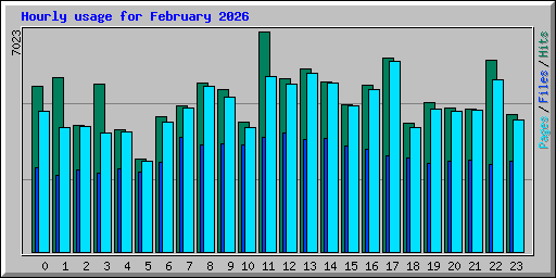 Hourly usage for February 2026