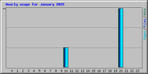 Hourly usage for January 2025